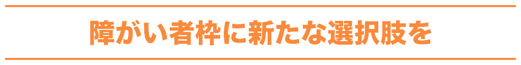 障がい者枠に新たな選択肢を